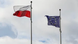 Miniatura: Czołowy polityk PiS: Nie popieramy tego...