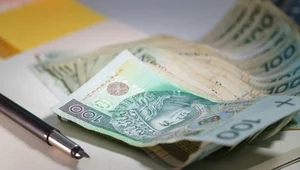 Miniatura: Tyle musi pożyczyć Polska, żeby zrolować...