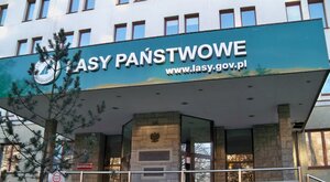Miniatura: Zmiany w Lasach Państwowych. Powołano...