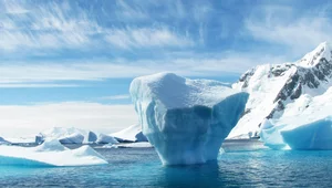 Miniatura: "Zdemilitaryzowanie" Antarktydy. Czy układ...