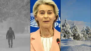 Miniatura: W Brukseli rządzą niebezpieczni wariaci....