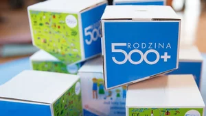 Miniatura: Co z 500+? Znamy plany rządu