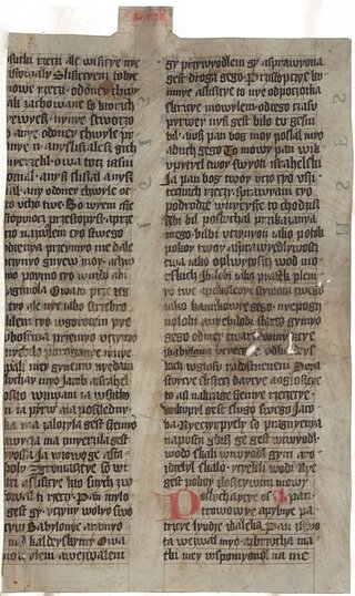 Biblia królowej Zofii