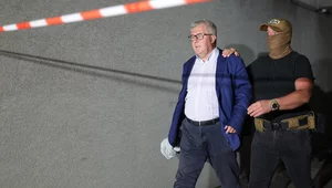 Miniatura: "Przypadek dość patologiczny". Poseł PiS o...