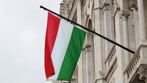 Miniatura: Wybory parlamentarne na Węgrzech. Są...