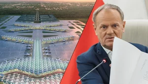 Miniatura: "Robota ruszyła". Tusk krytykowany za...