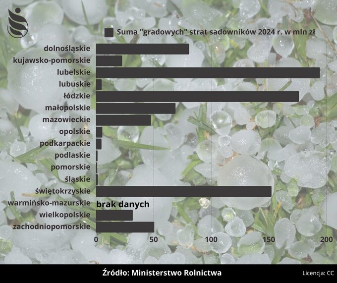 Straty - przymrozki. Wykres Ministerstwa Rolnictwa