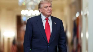 Miniatura: Trumptadracja