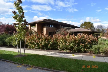 Dom Martina Buffallo 