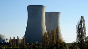 Miniatura: Co dalej z elektrownią atomową?...