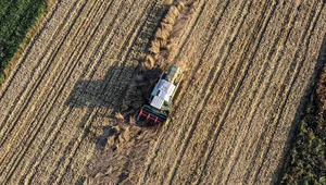 Miniatura: Propozycja Wojciechowskiego rozwiąże...