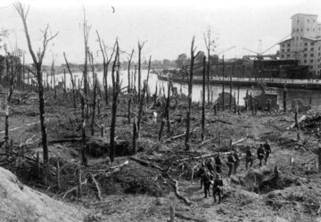 Las na&nbsp;Westerplatte po&nbsp;zakończeniu walk