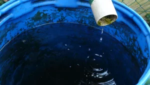 Miniatura: Deszczówka w cenie. Niebawem rusza nabór...