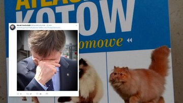 #świetnypomysł Marszałek Sejmu o pomyśle Platformy Obywatelskiej 