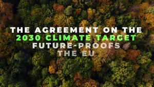 Miniatura: Dokąd zmierzasz zielony ładzie?