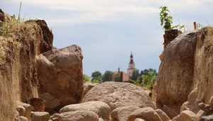 Miniatura: Sensacja w parku krajobrazowym....