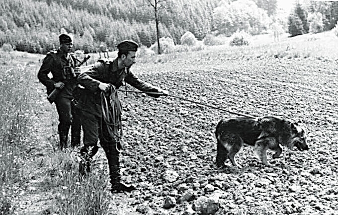Straż Graniczna NRD (Grenztruppen) z owczarkiem niemieckim