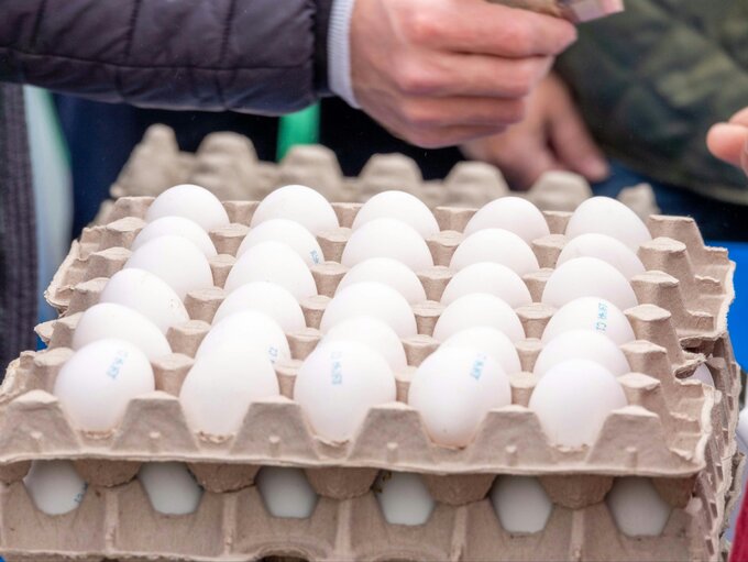 Jajka, zdjęcie ilustracyjne