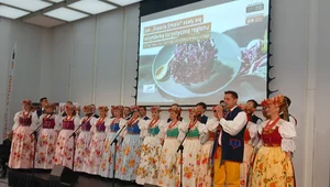 Miniatura: Śledź na tatarczuchu