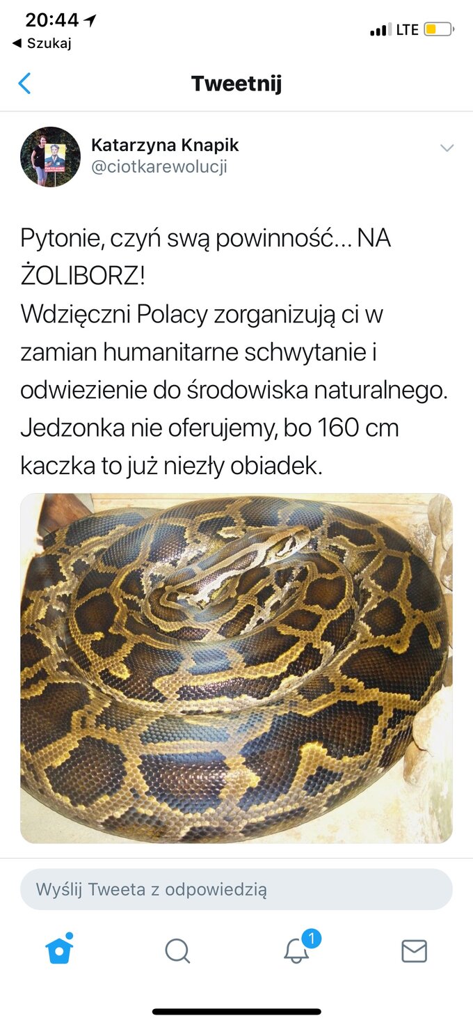 Katarzyna Knapik