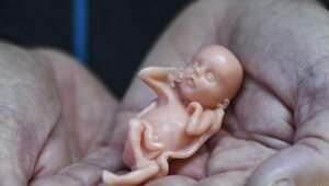 Miniatura: Władze USA ułatwiają aborcję chemiczną....