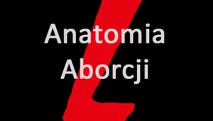 Miniatura: Anatomia aborcji