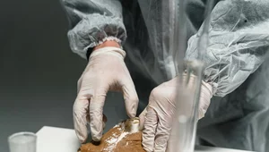 Miniatura: Nowe narkotyki w Polsce. GIS wydał...