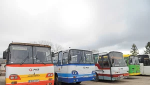 Miniatura: Autobus napędzany budżetem