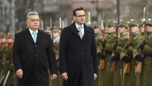 Miniatura: Trzmiel o rezolucji Węgier ws. Polski: Nie...