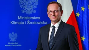 Miniatura: Stoimy murem w obronie polskich lasów!