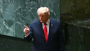 Miniatura: "Jest brzydka". Trump atakuje dziennikarkę