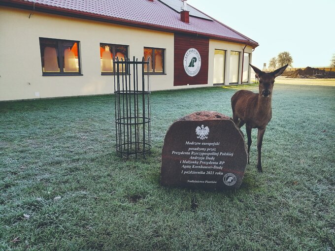 Ośrodek Rehabilitacji Zwierząt w&nbsp;Kole