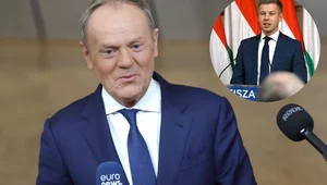 Miniatura: "Halo, Peter?". Zadowolony Tusk zadzwonił...