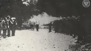 Miniatura: Zbrodnia pomorska. Niemcy mordowali...