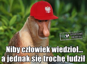 Memy po meczu Polska-Włochy 