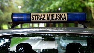 Miniatura: Chłopiec sprzedawał lemoniadę, wezwano...