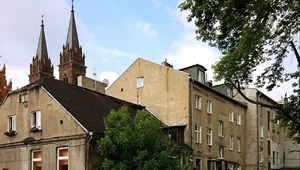 Miniatura: Człowiek ze smyczą