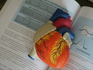 Miniatura: Szpital brał pieniądze z NFZ za fikcyjne...