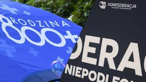 Miniatura: Rzecznik Konfederacji wskazał, jak...