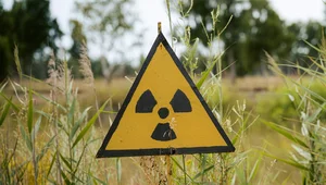 Miniatura: Wyciek promieniowania w największym...