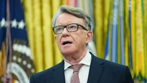 Miniatura: Niestosowne związki Petera Mandelsona