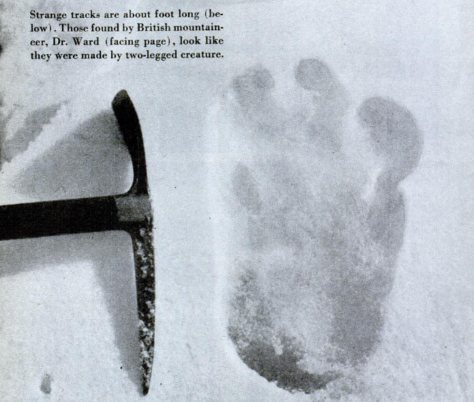 Rzekomy odcisk stopy Yeti. Zdjęcie zostało zrobione na lodowcu Menlung podczas wyprawy na Everest przez Erica Shiptona w 1951 roku.