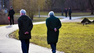 Miniatura: Nowe wsparcie dla seniorów? Jest zapowiedź...