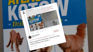 PO chce wylicytować dla WOŚP słynny „Atlas kotów". Reakcje internautów 