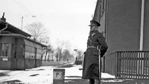 Miniatura: Niemcy chcieli, aby alianci odwrócili się...