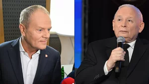 Miniatura: Nowy sondaż partyjny. Koalicja Tuska bez...