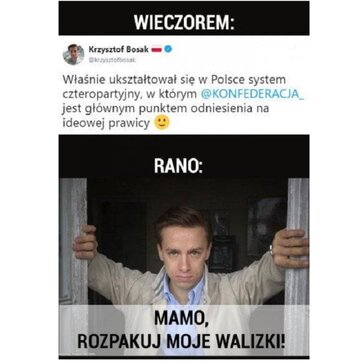 Memy po wyborach do Parlamentu Europejskiego 