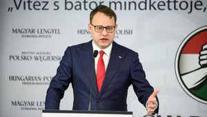 Miniatura: Mocny raport Romanowskiego. Opublikowała...