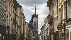 Miniatura: Nieoficjalnie: Zastępca prezydenta Krakowa...
