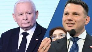 Miniatura: Nauka poszła w las